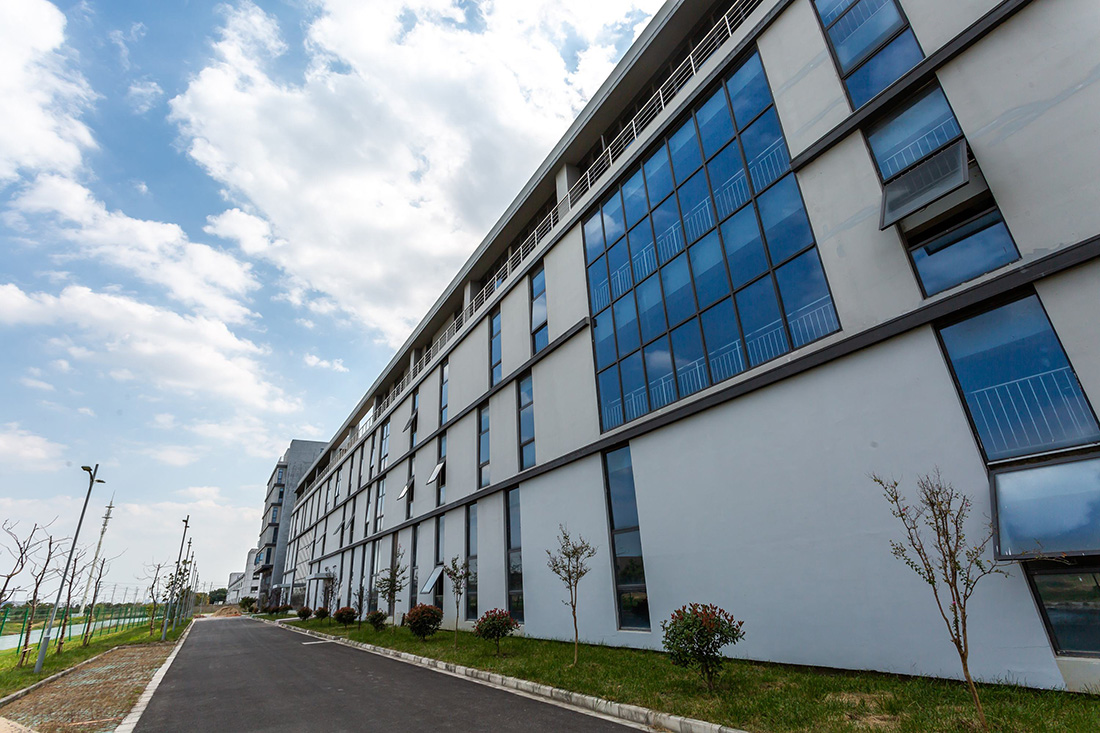 1575601012893981.jpg a1.jpg